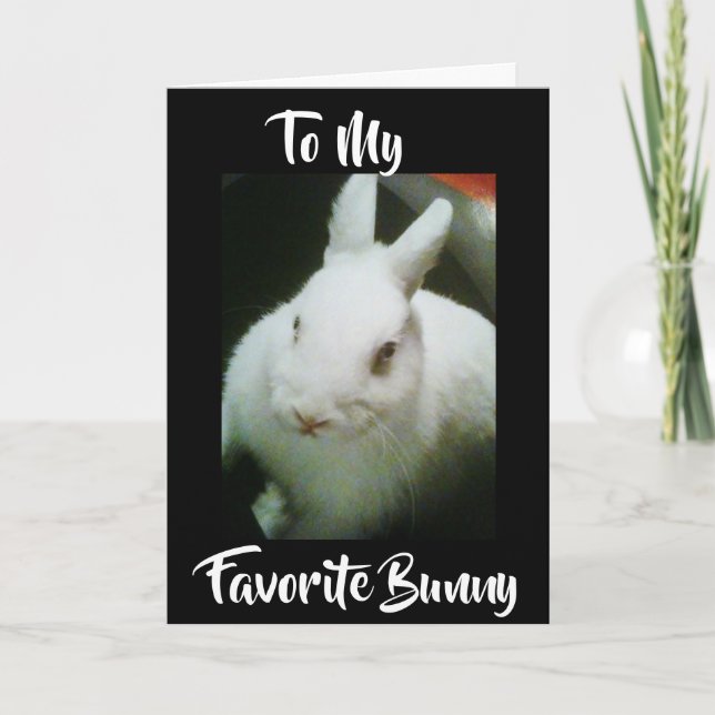 GLÜCKLICH **EASTER** FÜR MEINE "BUNNY" FEIERTAGSKARTE (Vorderseite)