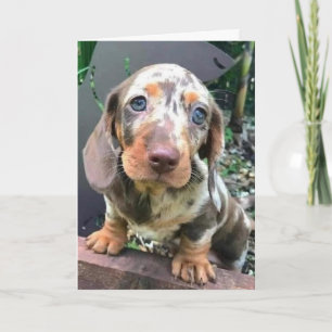 ***GLÜCKLICH FÜR SIE***/**FEHLT AUCH SIE*** KARTE