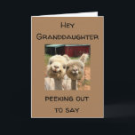 GLÜCKLICH *GEBURTSTAG* AUF MEINE *GRANDDAUGHTER* K KARTE<br><div class="desc">ZUM **BEST GRANDAUGHTER EVER*** GLÜCKLICH GEBURTSTAG UND ICH BIN SO GLÜCKLICH,  DASS SIE "MEIN BRUDER"!!! VIELEN DANK,  DASS SIE VON EINER MEINER ACHT GESCHICHTEN GESCHAFFEN HABEN!!!</div>