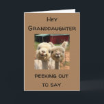 GLÜCKLICH *GEBURTSTAG* AUF MEINE *GRANDDAUGHTER* K KARTE<br><div class="desc">ZUM **BEST GRANDAUGHTER EVER*** GLÜCKLICH GEBURTSTAG UND ICH BIN SO GLÜCKLICH,  DASS SIE "MEIN BRUDER"!!! VIELEN DANK,  DASS SIE VON EINER MEINER ACHT GESCHICHTEN GESCHAFFEN HABEN!!!</div>