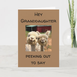 GLÜCKLICH *GEBURTSTAG* **GRANDDAUGHTER** KARTE