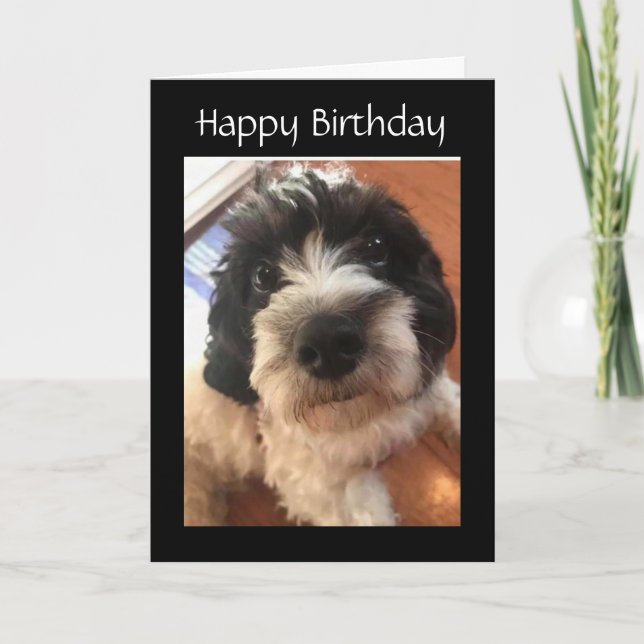 GLÜCKLICH *GEBURTSTAG* SIE MACHEN MEIN SCHWANZ WAG KARTE (Vorderseite)
