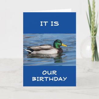 GLÜCKLICH "GEGENSEITIG GEBURTSTAG" NUR DUCKIE!!! K KARTE