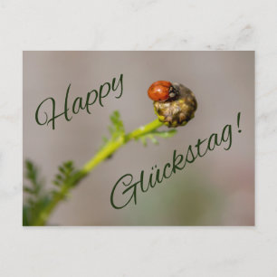 Glücklich Glückstag - mit Marienkäfer! Postkarte