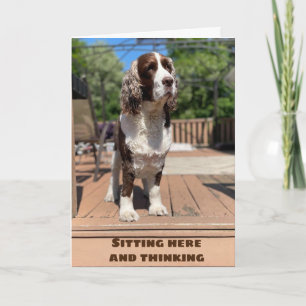 GLÜCKLICH ***JANUAR*** GEBURTSTAG FÜR SIE! KARTE