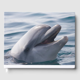 Glücklich lächelnd Dolphin im Wasser Gästebuch