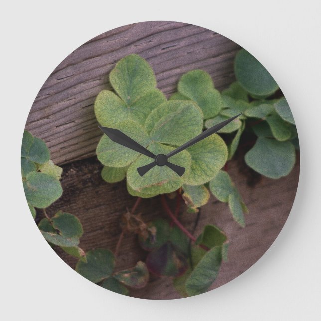 Glücklich oder bestimmt? St. Patricks Day-Kleeblät Große Wanduhr (Vorderseite)