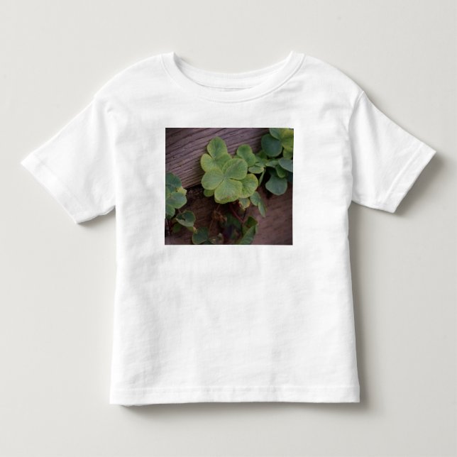 Glücklich oder bestimmt? St. Patricks Day-Kleeblät Kleinkind T-shirt (Vorderseite)