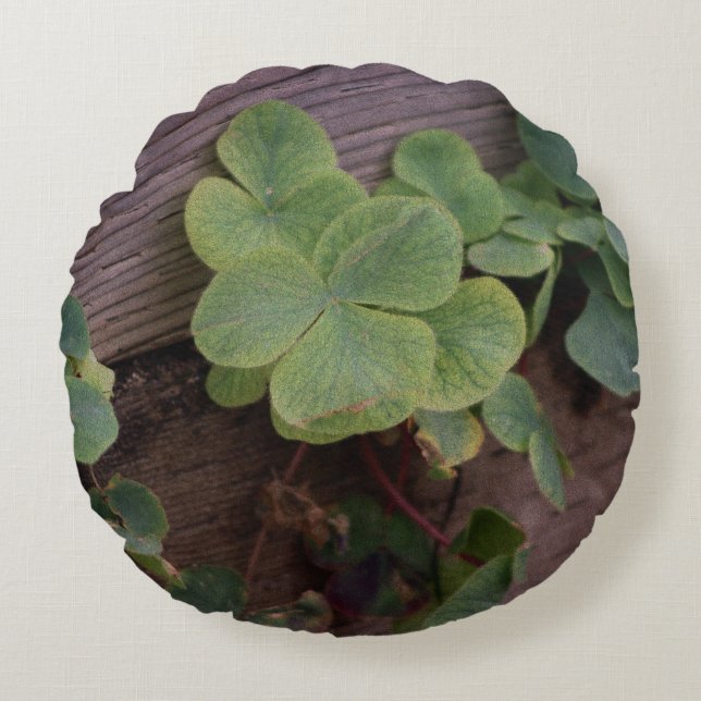 Glücklich oder bestimmt? St. Patricks Day-Kleeblät Rundes Kissen (Vorderseite)