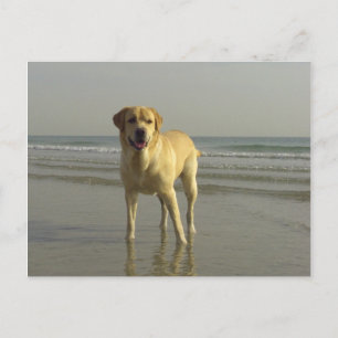 glücklich postkarte