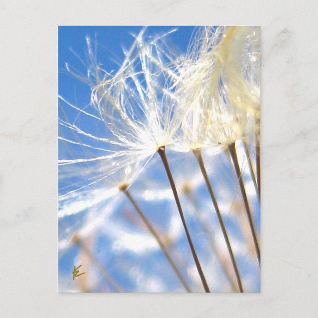 Glücklich, tanzend, Kronleuchter, Geschichten in d Postkarte (Vorderseite)