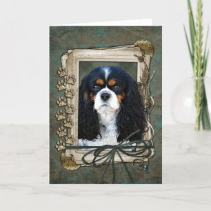 Glücklich zum Geburtstag - Stone Paws - Cavalier Karte