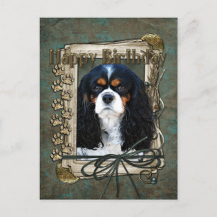 Glücklich zum Geburtstag - Stone Paws - Cavalier Postkarte