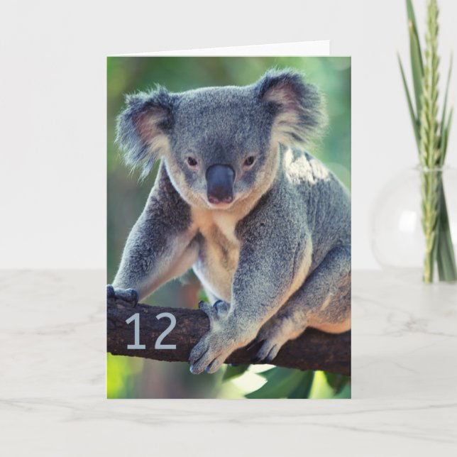 Glückliche 12. Geburtstag Australian Koala Grußkar Karte (Vorderseite)