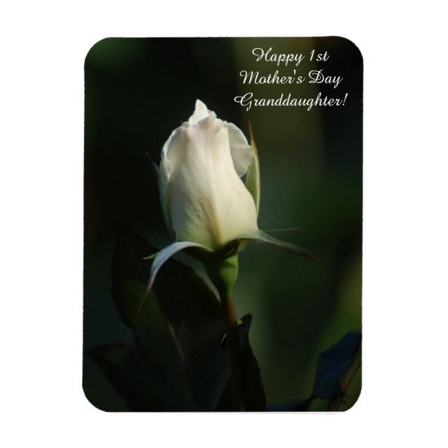 Glückliche 1. Muttertagskleiterin Magnet (Vertikal)