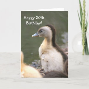 Glückliche 20. Geburtstag Grußkarte für Duckling Karte