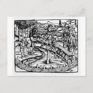 Glückliche Bienenzüchter, Darstellung aus Postkarte