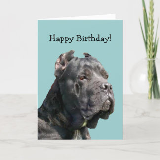 Glückliche Bithday Stock Corso Grußkarte Karte