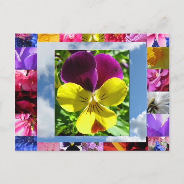 Glückliche Blume Postkarte (Vorderseite)