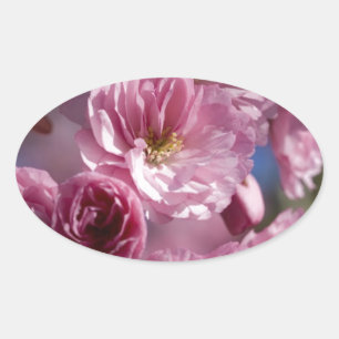 Glückliche Blüten Ovaler Aufkleber