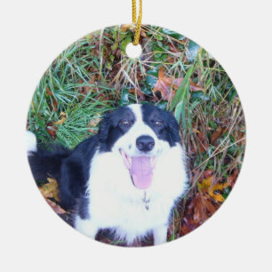Glückliche Border-Collie Keramik Ornament