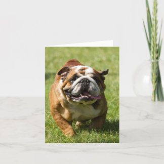 Glückliche Bulldogge, die in Gras läuft Karte