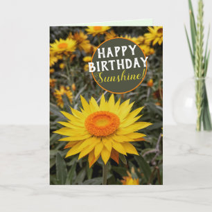 Glückliche Energie Papier Gänseblümchen Frohen Geb Karte
