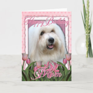 Glückliche Geburtstagsfeier - Mama Coton de Tulear Karte