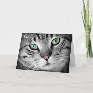 Glückliche Geburtstagskarte: Katze sagt "Oh!" Karte