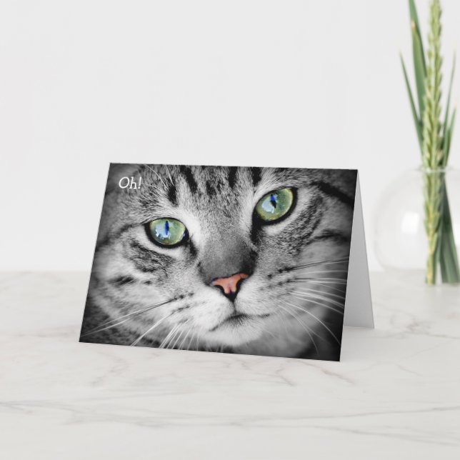 Glückliche Geburtstagskarte: Katze sagt "Oh!" Karte (Vorderseite)