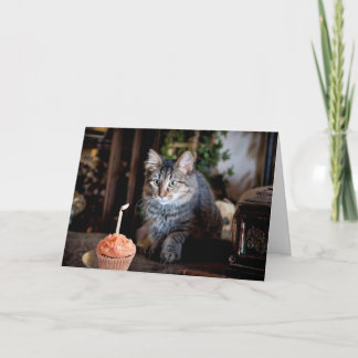 Glückliche Geburtstagskarte mit Katze Karte