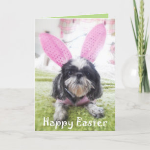 Glückliche Häschen-Gruß-Karte Ostern Shitzu Feiertagskarte