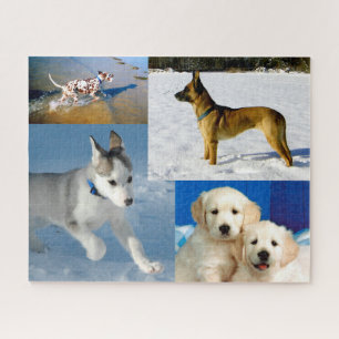 Glückliche Hunde Puzzle