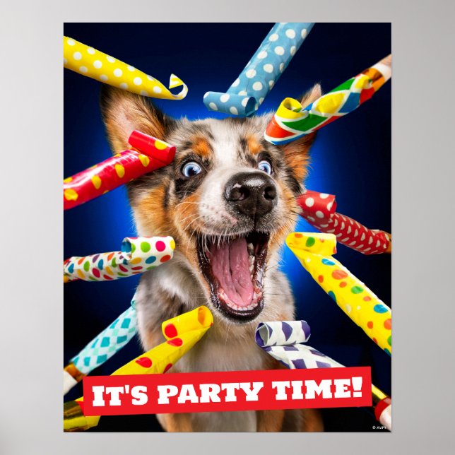 Glückliche Hundeparty-Tutgeräusche Poster (Vorne)