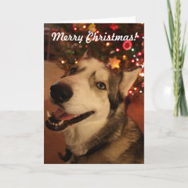 Glückliche Husky-Weihnachtskarte Feiertagskarte