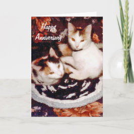 Glückliche Jahrestags-Katzen-Karte Karte