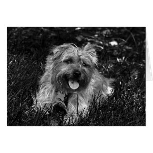 Glückliche Jungen-Karte