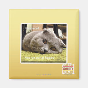 Glückliche Katze, aus Glück Magnet