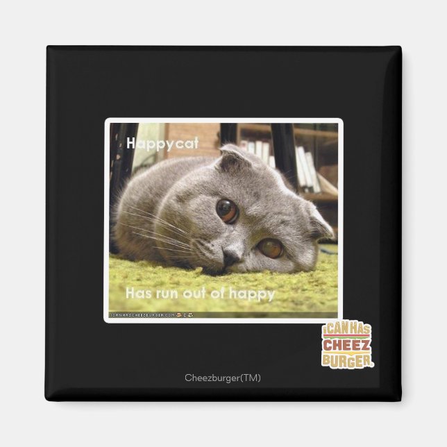 Glückliche Katze, aus Glück Magnet (Vorne)