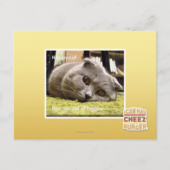 Glückliche Katze, aus Glück Postkarte (Vorderseite)