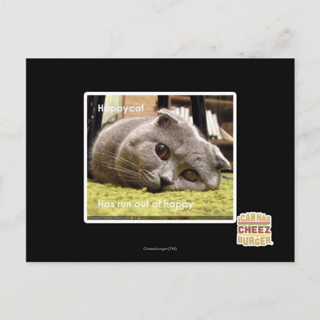 Glückliche Katze, aus Glück Postkarte (Vorderseite)