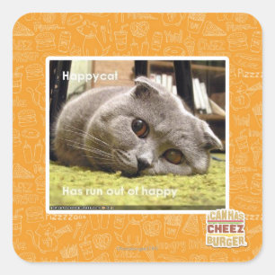 Glückliche Katze, aus Glück Quadratischer Aufkleber
