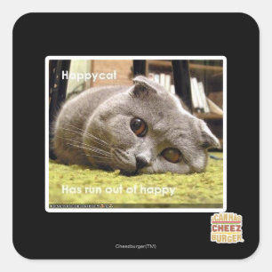 Glückliche Katze, aus Glück Quadratischer Aufkleber