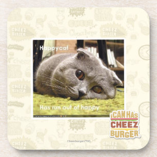 Glückliche Katze, aus glücklichem heraus Getränkeuntersetzer