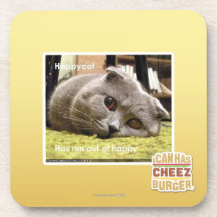 Glückliche Katze, aus glücklichem heraus Untersetzer
