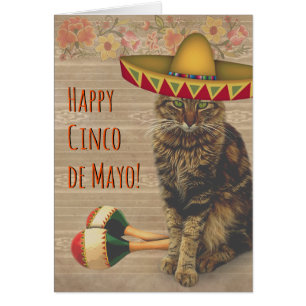 Glückliche Katze Cinco Des Mayo mit mexikanischem