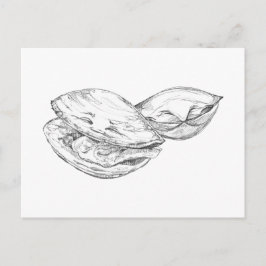 Glückliche-Klaffmuschel-Postkarte Postkarte
