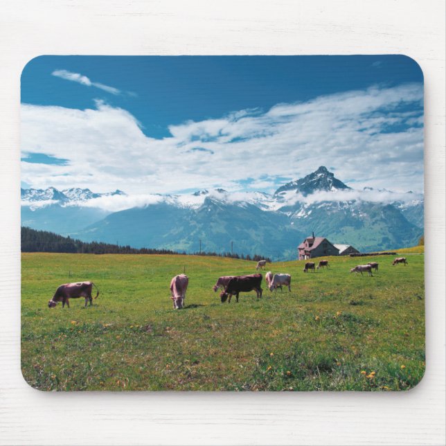 Glückliche Kühe auf dem Bauernhof in der Schweiz Mousepad (Vorne)