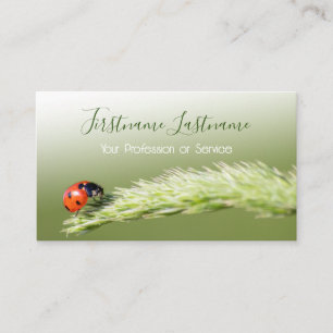 Glückliche Kunden mit glücklichen Ladybugs! Visitenkarte
