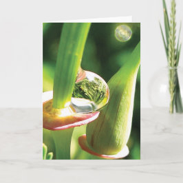 Glückliche, magische, Taube Drop Freundschaft Karte